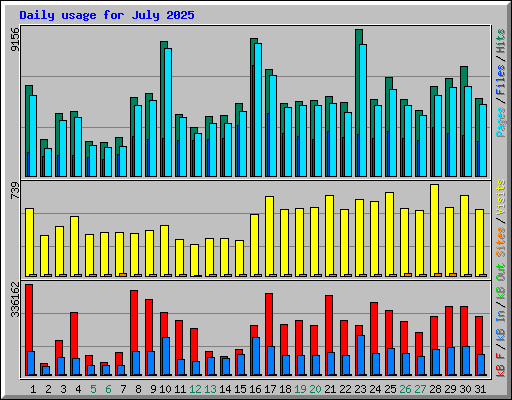 Daily usage for July 2025