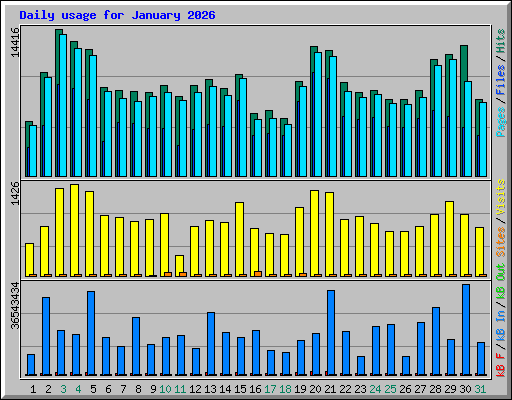 Daily usage for January 2026