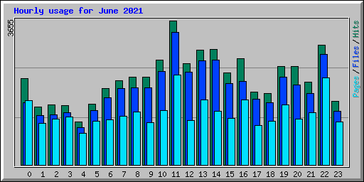 Hourly usage for June 2021