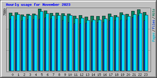 Hourly usage for November 2023