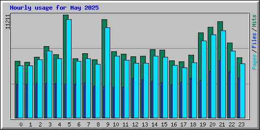Hourly usage for May 2025