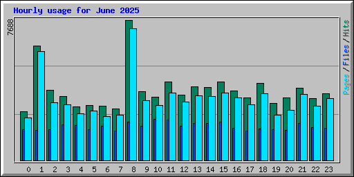 Hourly usage for June 2025