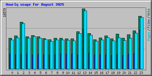 Hourly usage for August 2025