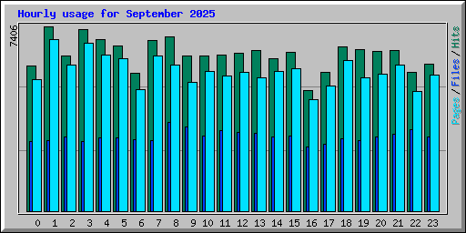 Hourly usage for September 2025