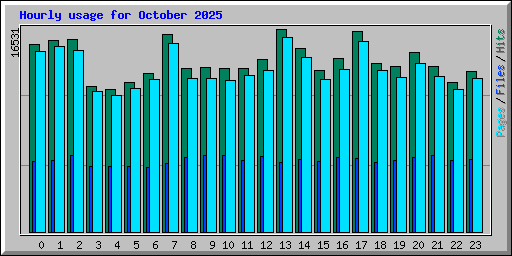 Hourly usage for October 2025