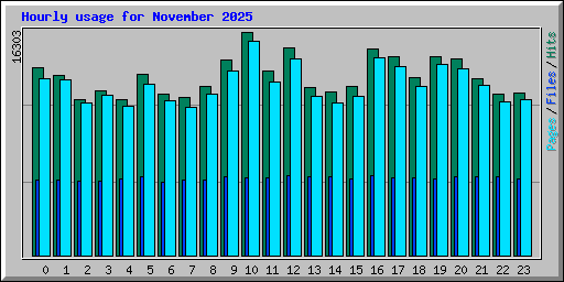 Hourly usage for November 2025