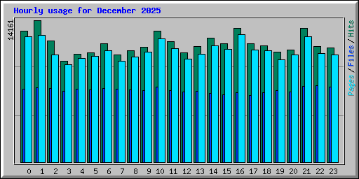 Hourly usage for December 2025