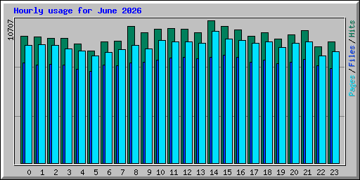 Hourly usage for June 2026